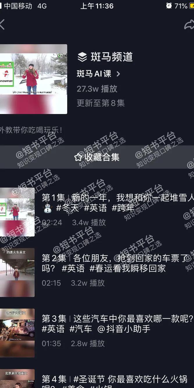 斑马英语盈利模式,斑马英语融资