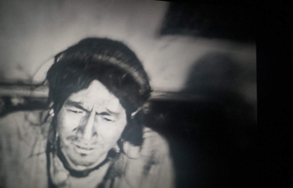 撞死了一只羊影评,撞死了一只羊主题分析