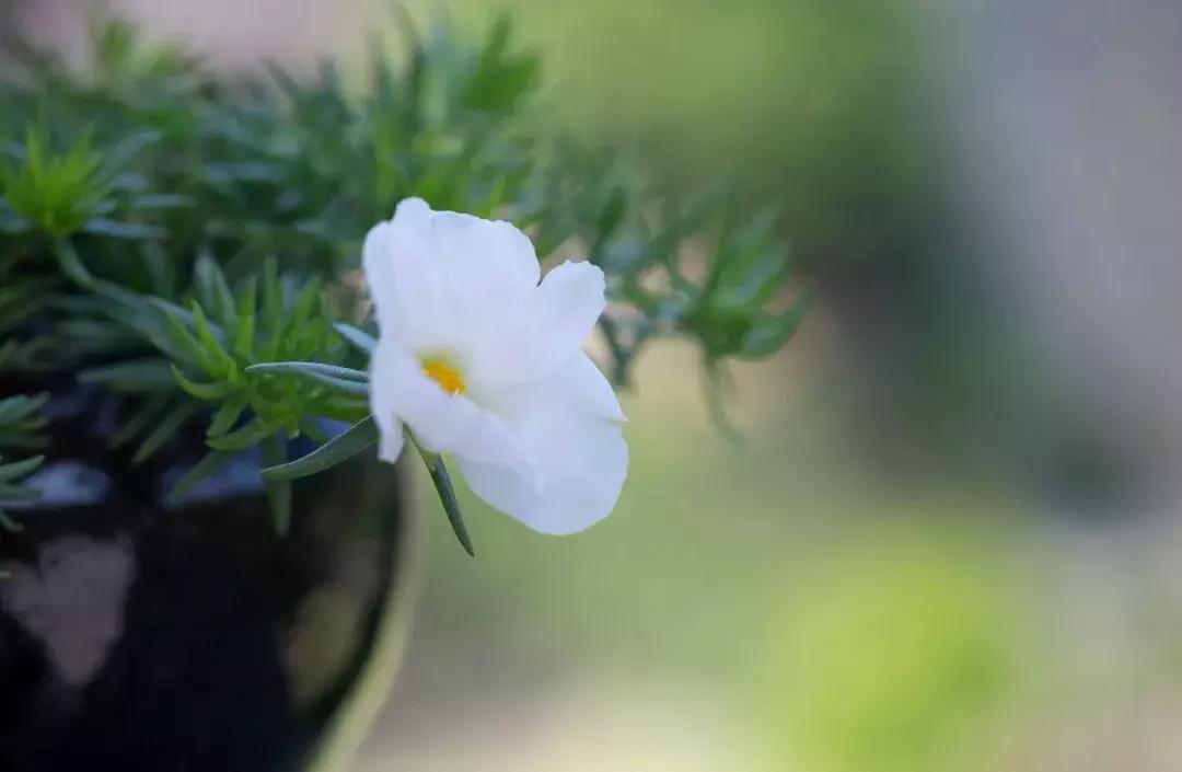 徒步浙东大峡谷,邂逅虎跳峡感受大自然