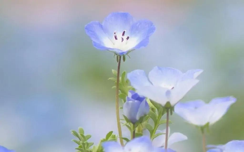 男人50多岁了老婆出轨该怎么办,50多岁发现老公有外遇了怎么办