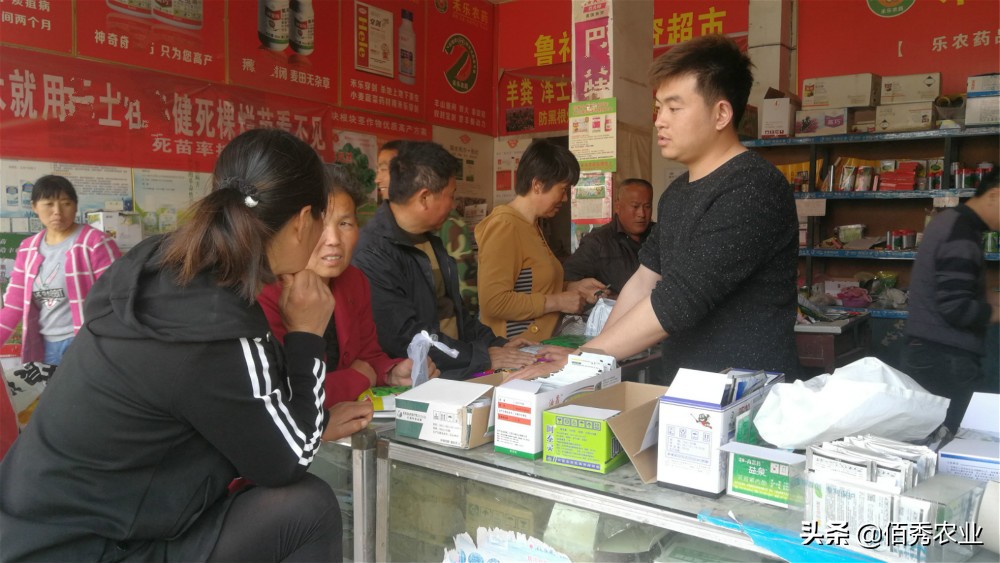 4个项目适合农村致富,农村冷门又赚钱的行业