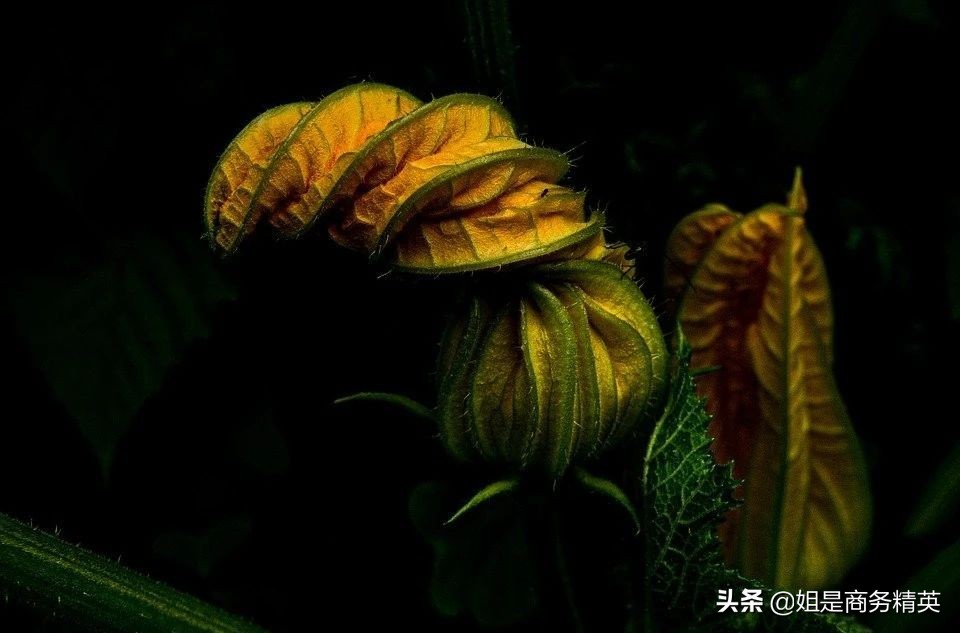 咨询公司资质取消，造价师没用了，不需要考证了？