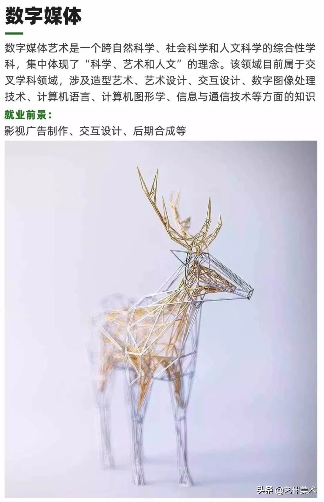 栾树画室官网,栾树画室怎么样