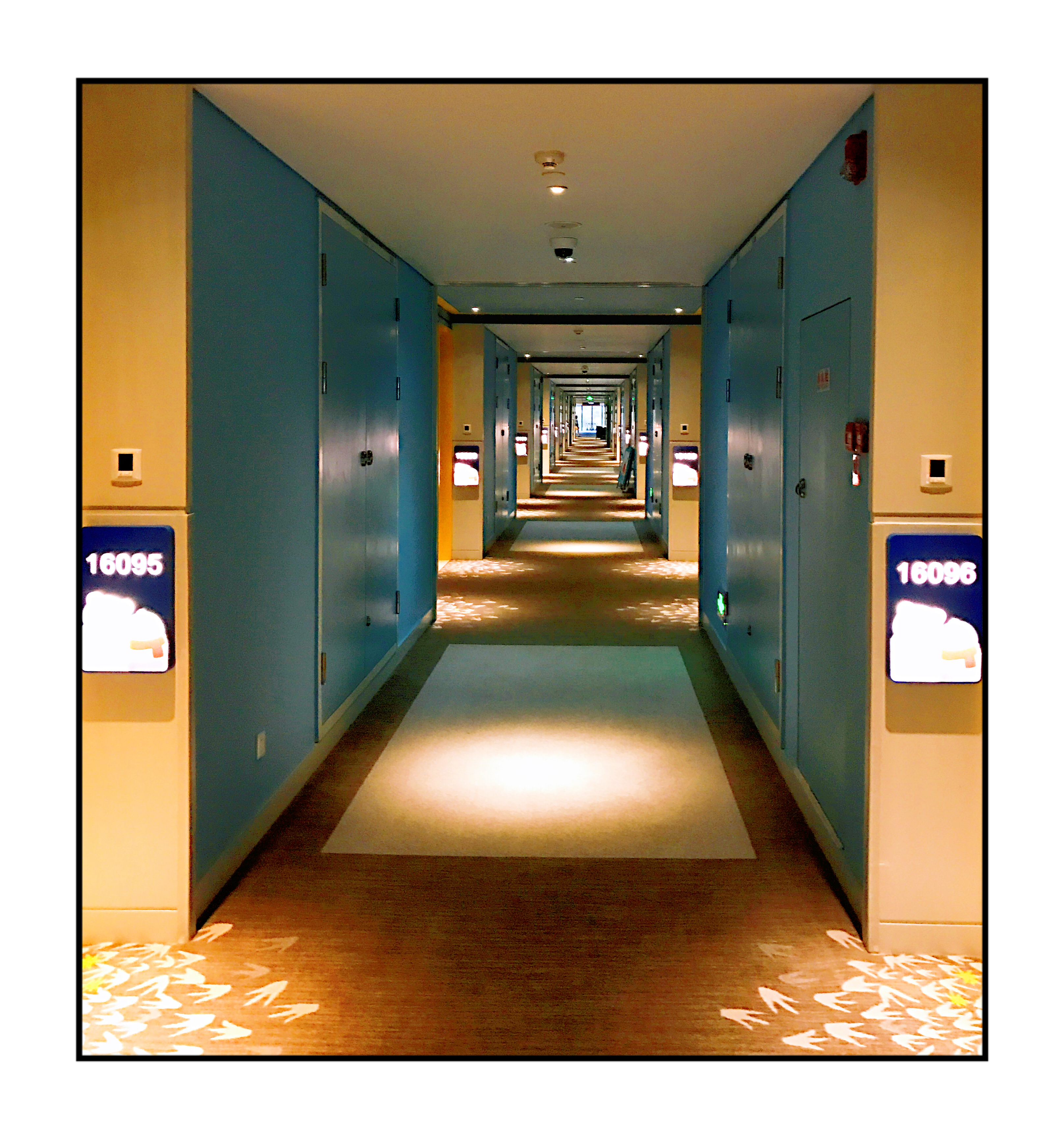 珠海长隆旅游饮食攻略,珠海长隆游玩吃饭攻略