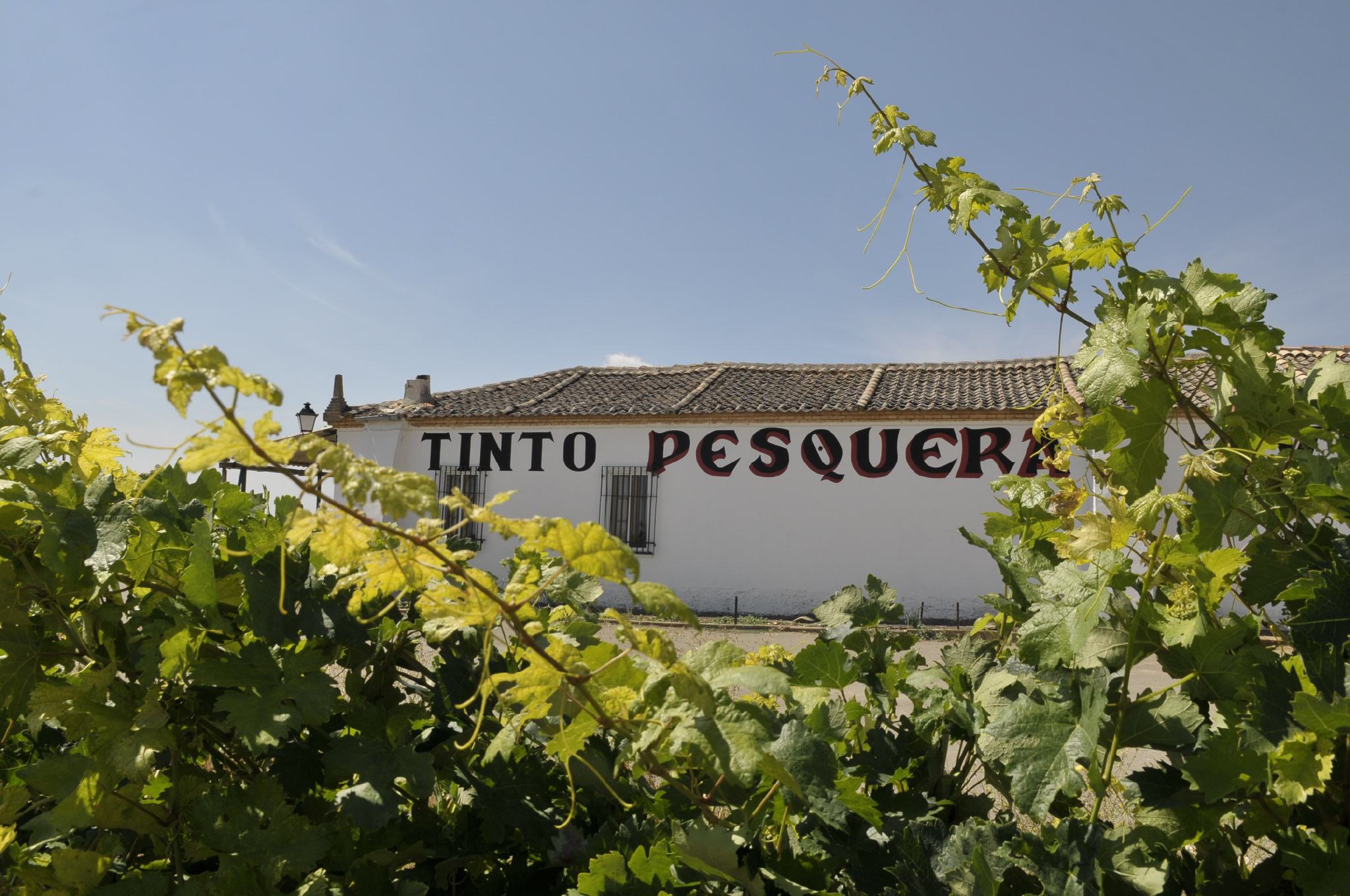 如果他们组队酿酒，一定是葡萄酒界的“IG战队”！