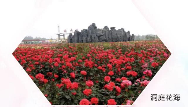 常德市西湖德人牧业旅游景区,常德市德人牧业