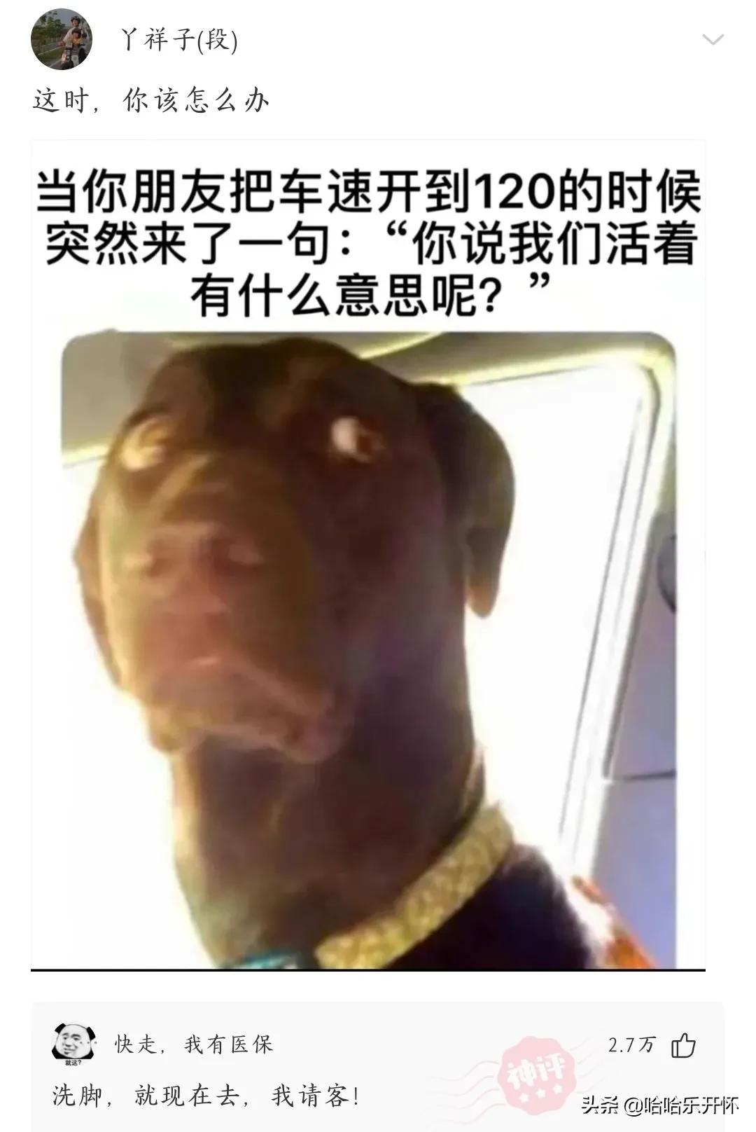 神评爆笑精华版26,神评爆笑合集