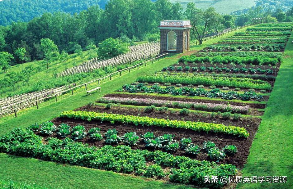 classmates什么意思 (classtrip文章)