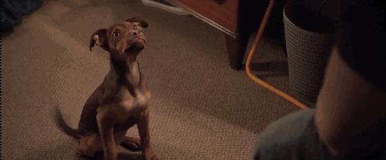 拯救不开心之类电影推荐,十部让人内心平静的电影