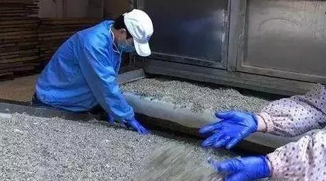 市面上一块钱一包的小辣鱼视频,一块一包的辣鱼能吃吗