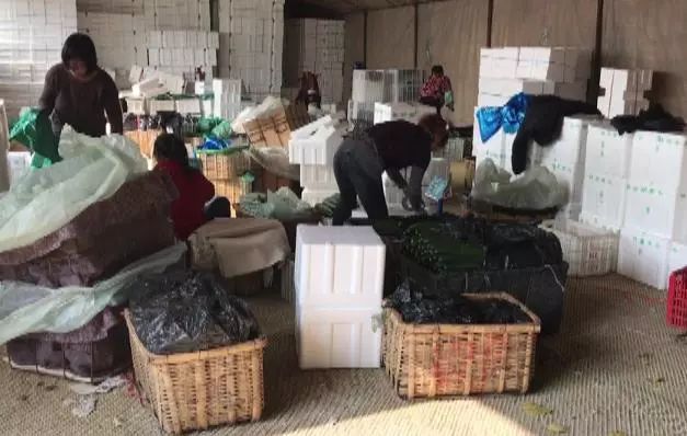 谁认识李翠花和王文忠！这俩寿光人做了这种事情之后竟然……