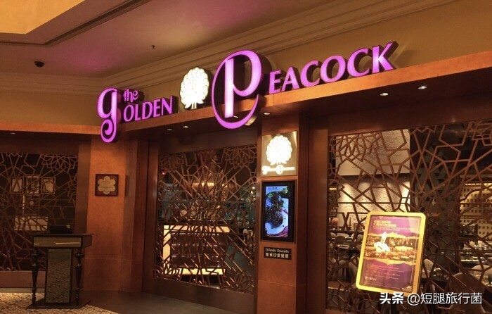 澳门酒店住宿攻略,澳门住宿攻略酒店推荐5.1号入住