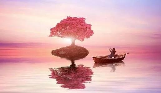 传销所有骗局,传销害人内幕揭秘