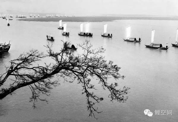 140年前的温州原来长这样！家乡的前世今生.