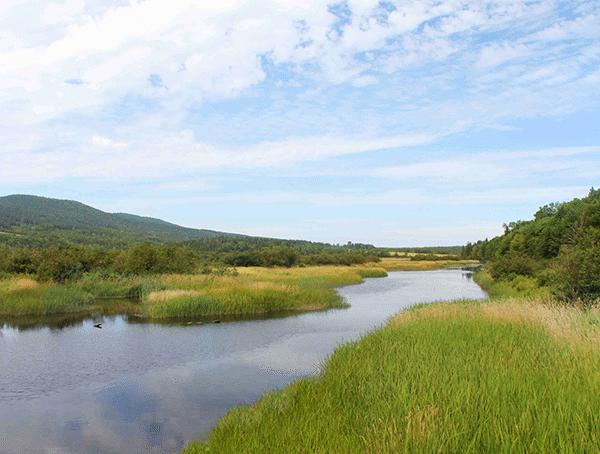 ps大神到底可以多强大,ps真好用吗