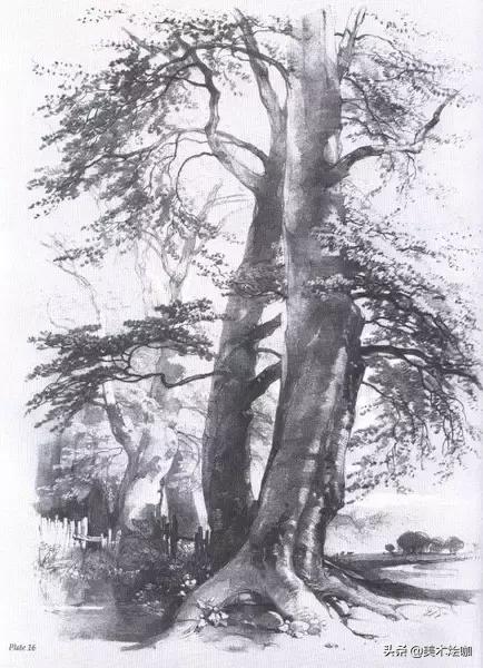 静物素描风景图临摹,简单又好画的彩铅素描风景图