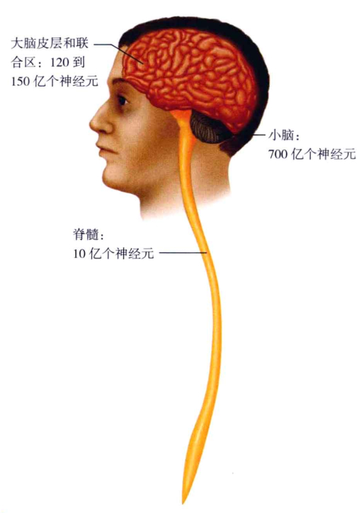 心理学的生物学基础知识,生物心理学知识书籍