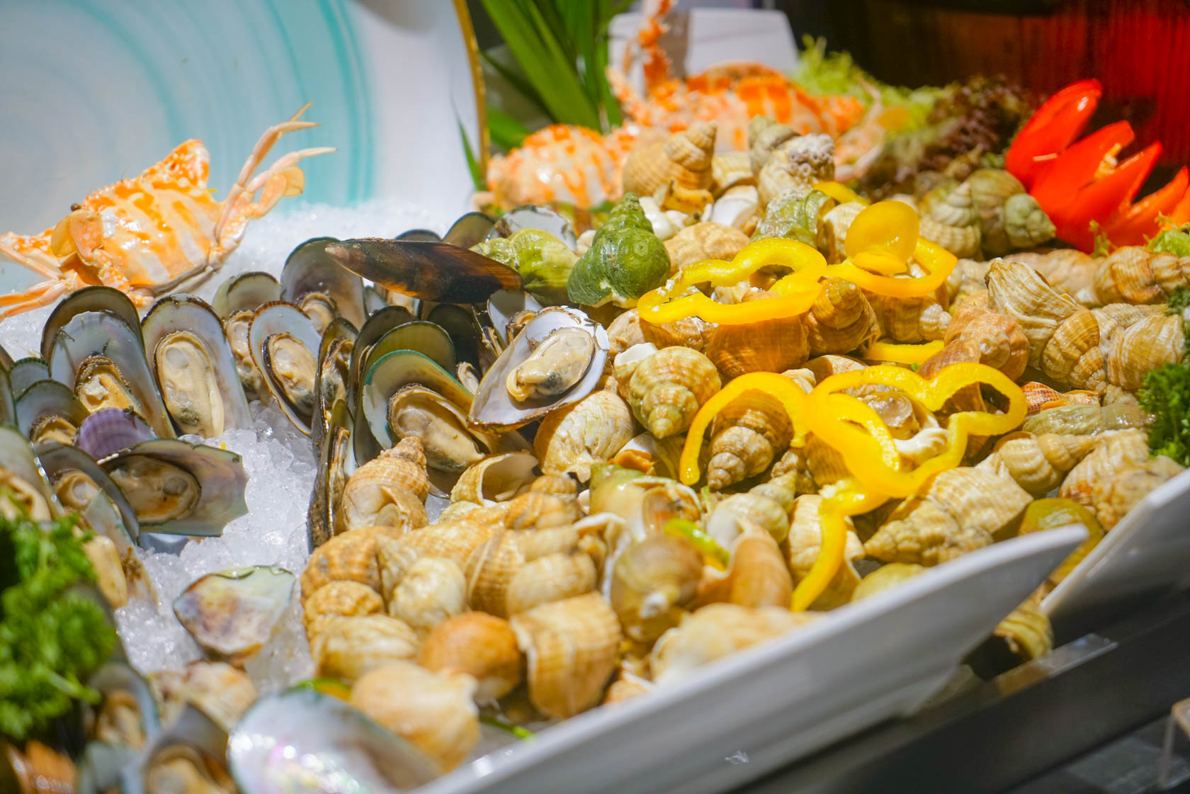 三亚旅游攻略clubmed,三亚亲子游攻略