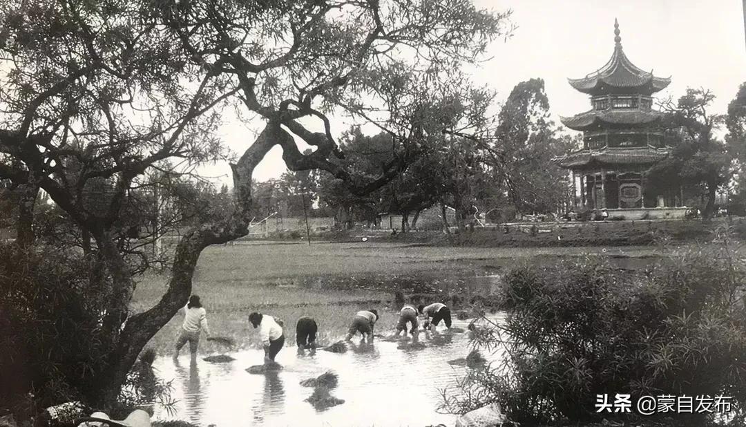 蒙自未来高楼地标,蒙自老街介绍