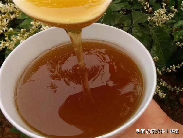 什么样的蜂蜜才是最好的,什么样的蜂蜜才属于好蜂蜜