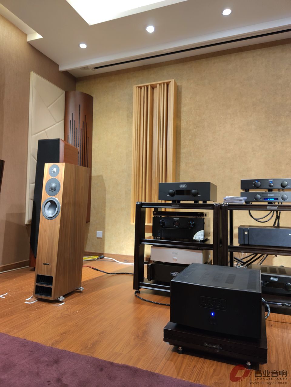 丹拿怎么才能玩好,丹拿玩被动还是主动好