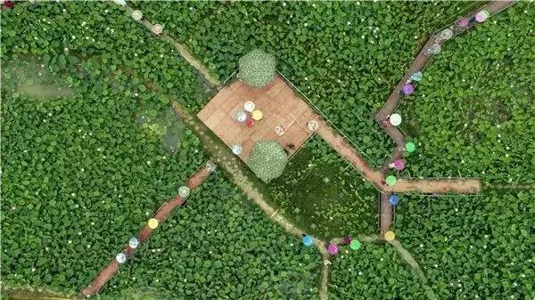 人间瑶池普者黑,丽江至普者黑自驾