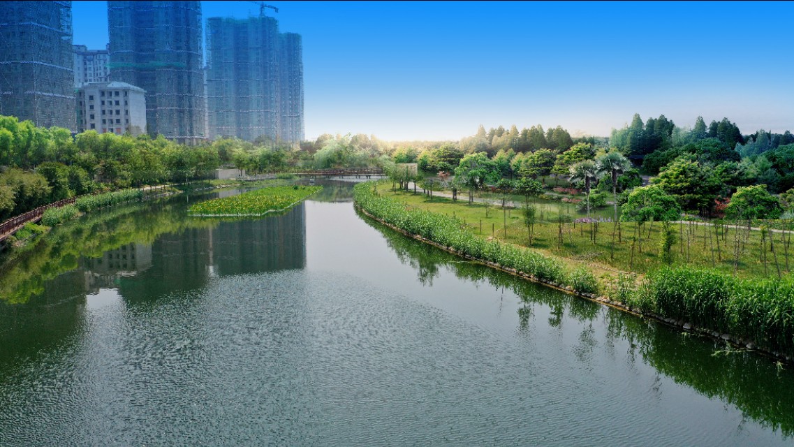 拔智齿真的不疼吗,其实拔牙没有你想象的那么糟糕