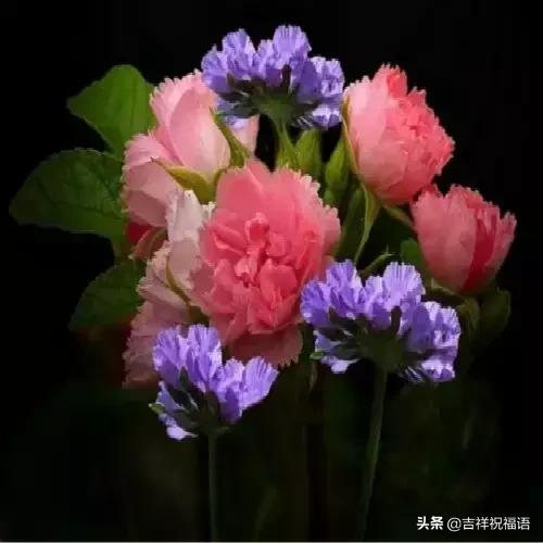 经典永远堪称经典,经典中的经典回味经典