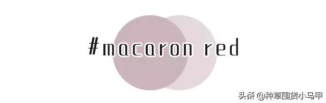 实体店被举报卖假货,专柜售假是真的吗