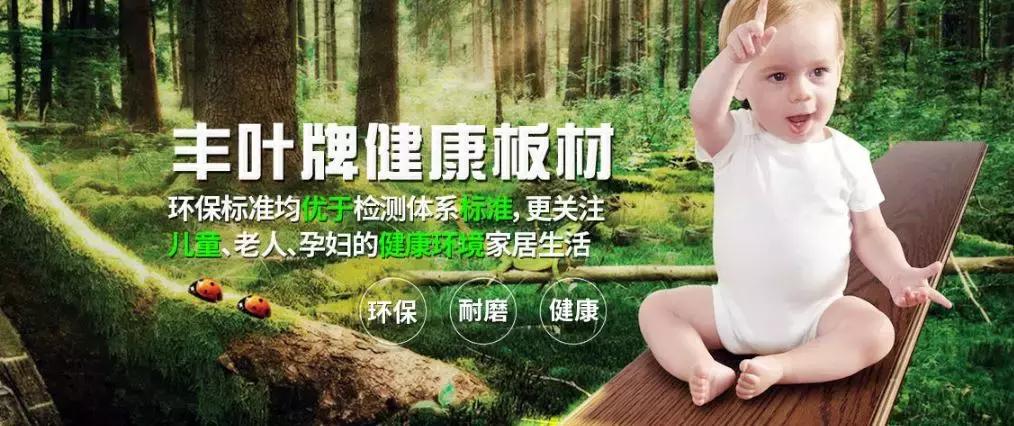 大王椰板材与莫干山哪个比较好,大王椰莫干山兔宝宝哪个性价比高