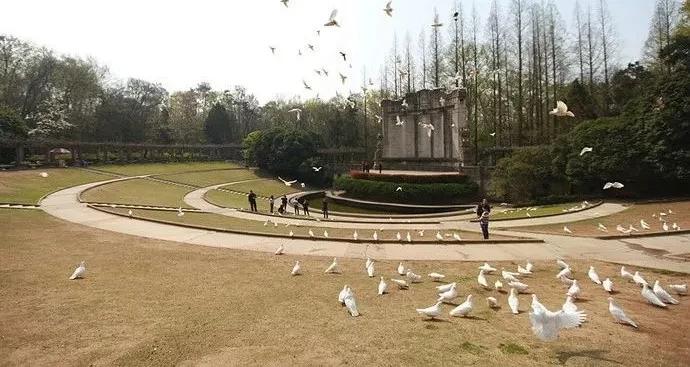 机票白菜价140元起全国各地出发,广州出发机票低至1折起