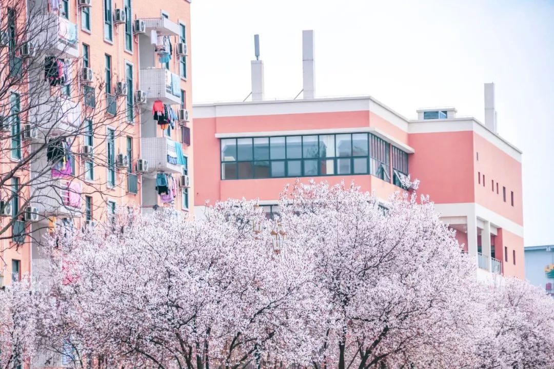 西南民大值得去读吗,西南民大是什么级别