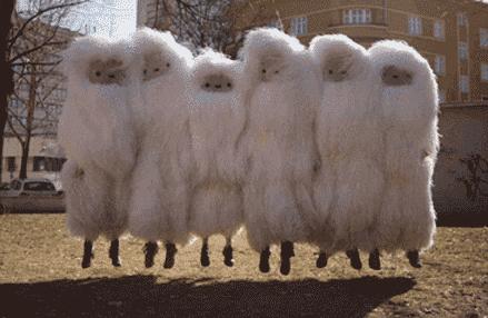 羽绒服你不知道的坑,羽绒服避坑指南知道这5点就够了