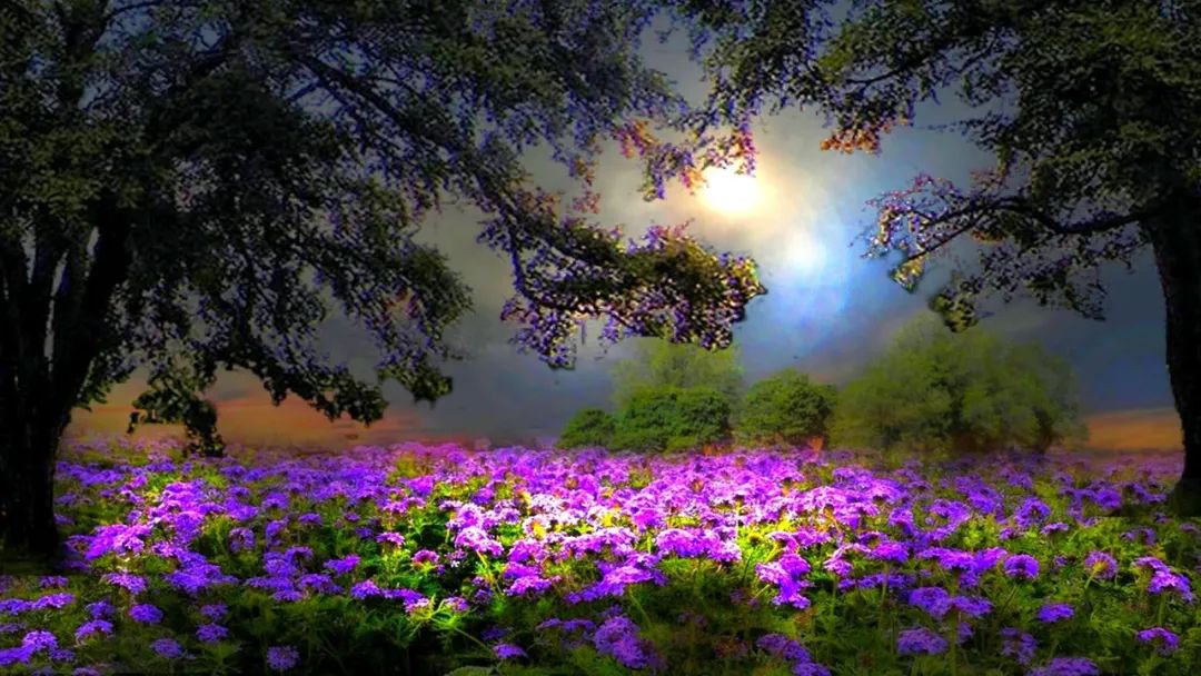 英语句子中to的用法,一句英文中二个to的用法