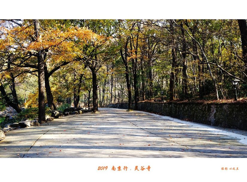 六朝金粉和金陵雨花台,六朝金粉地最忆是金陵啥意思