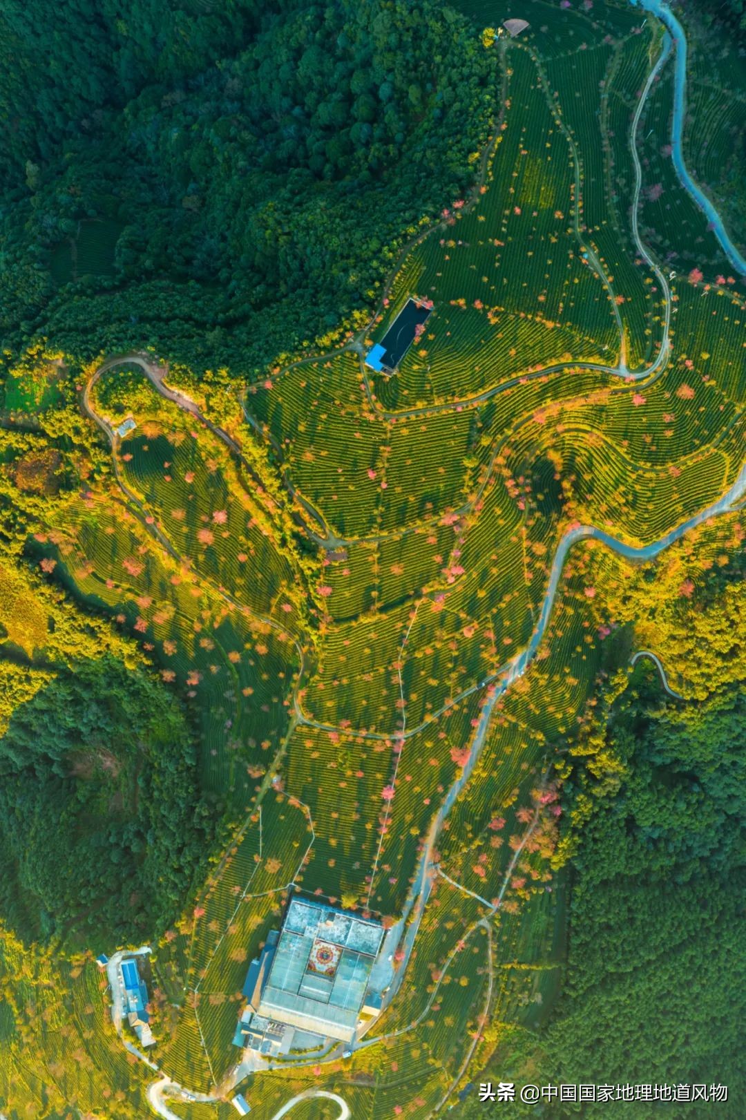 云南有个地方比大理丽江更出名,昆明风景为什么没有大理和丽江好