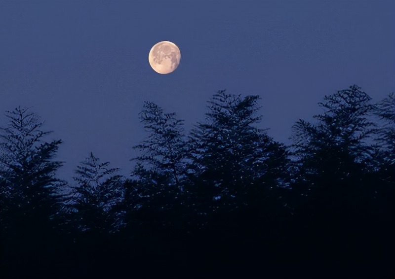 苏东坡为什么一直过中秋节,苏东坡与中秋节