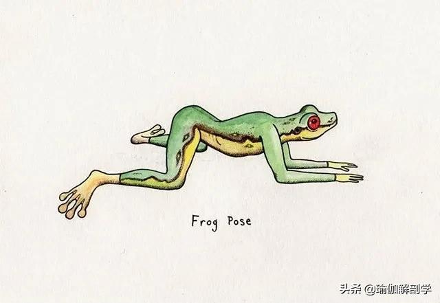 100张户外瑜伽唯美图片,各种动物瑜伽姿势图片