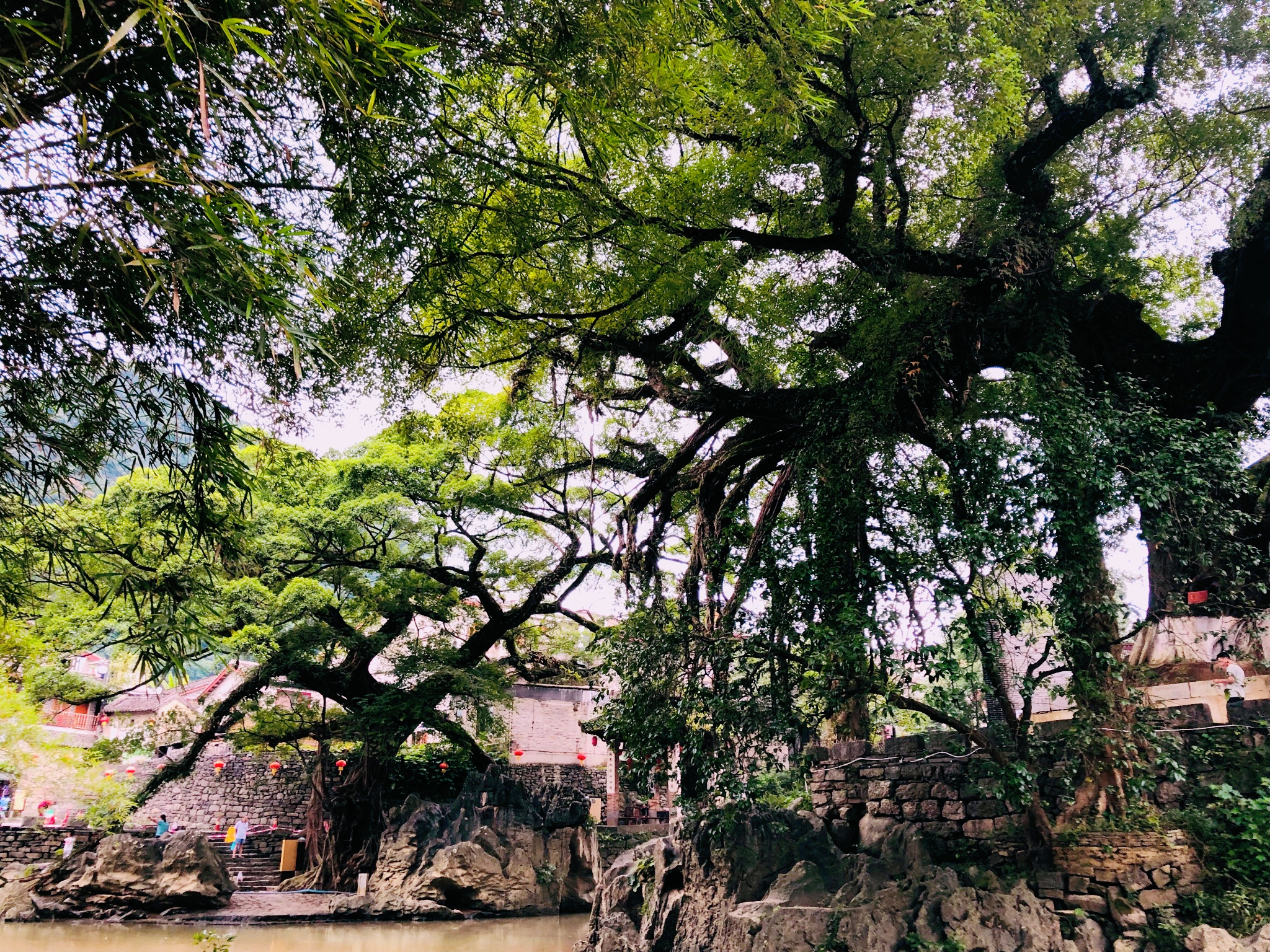 广西长寿之乡巴马107岁老人,广西十大长寿之乡