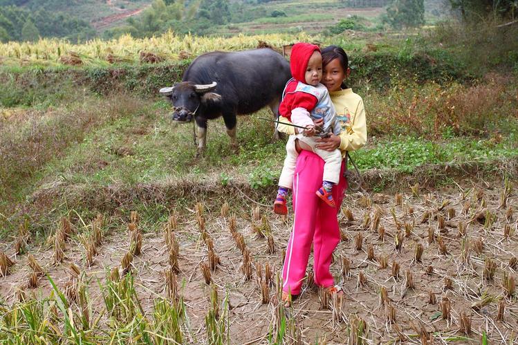 女占三八必守寡是谁说的,农村俗语男占三八