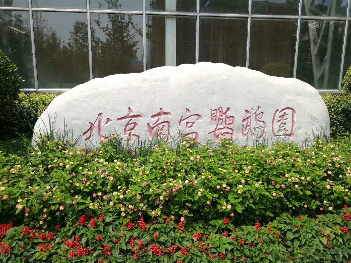 鹦鹉园里鹦鹉真不少，认识3种以上，当之无愧鹦鹉界老司机