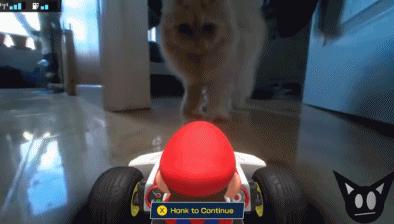 任天堂都出什么游戏了,任天堂里的游戏