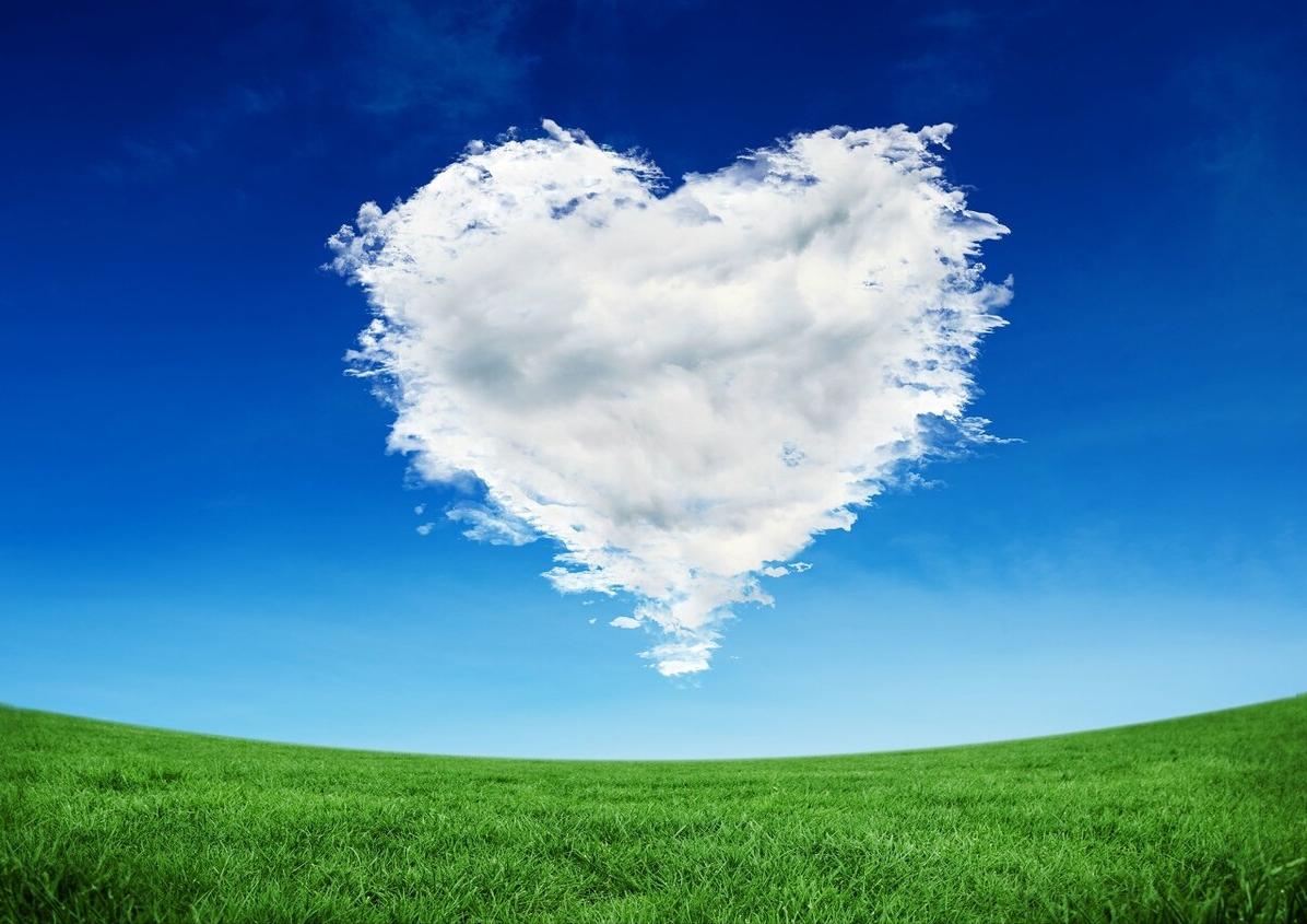 赞美插花艺术的句子,赞美艺术的句子经典语录大全