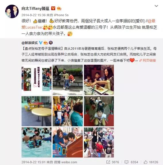 向太陈岚发长文痛骂周星驰,向太陈岚对张柏芝的评价