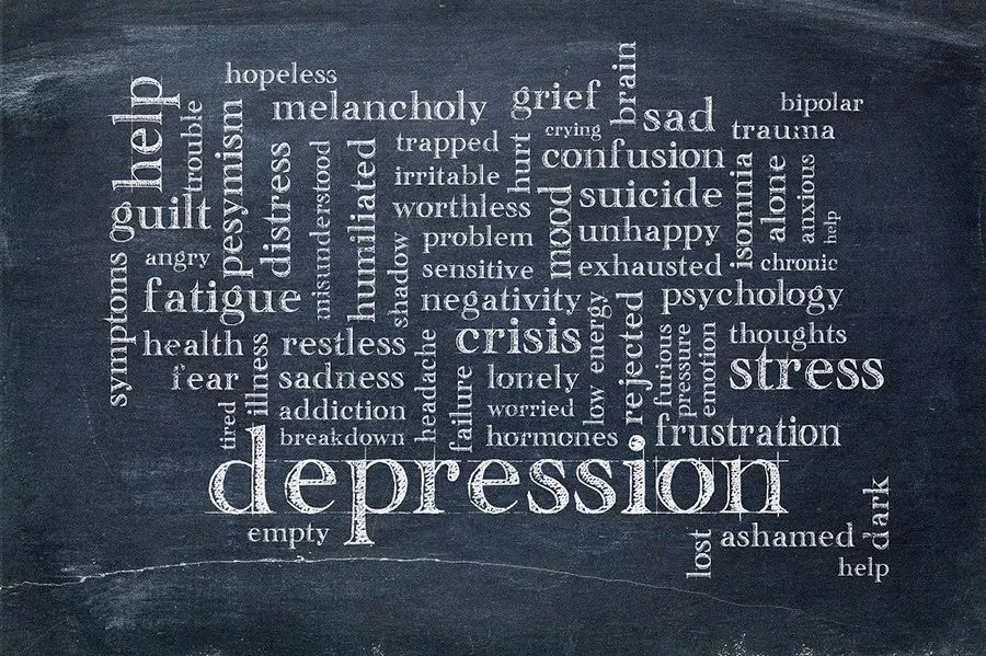 一心|猫能改善你的抑郁症吗？