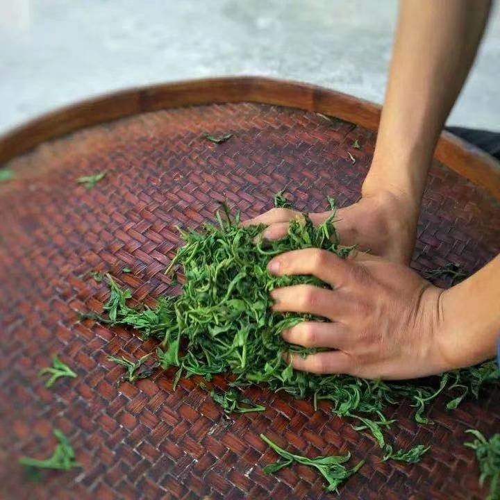 韶关善美直播,善美韶关现场直播活动