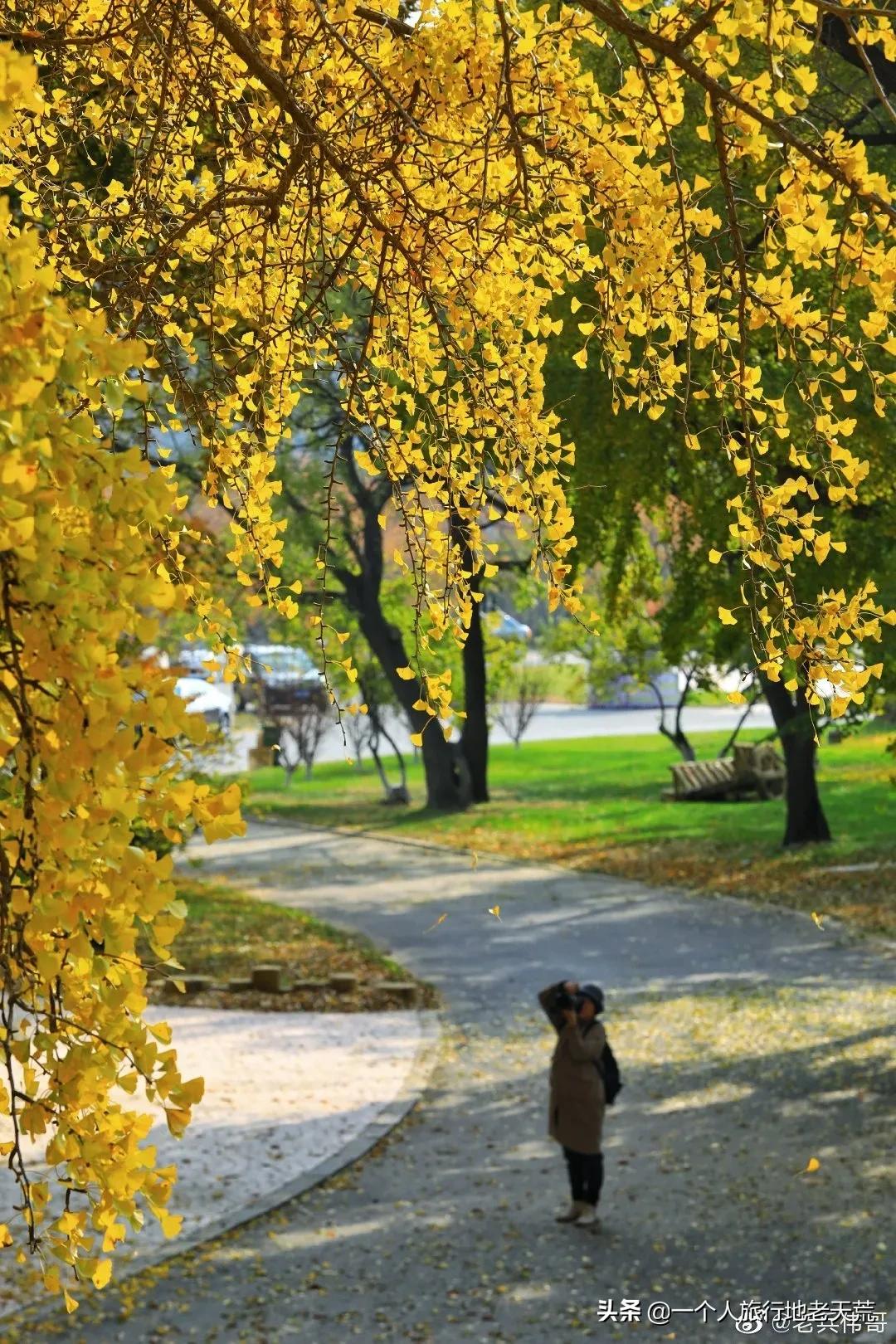 大连最浪漫的十个地方,大连浪漫景色