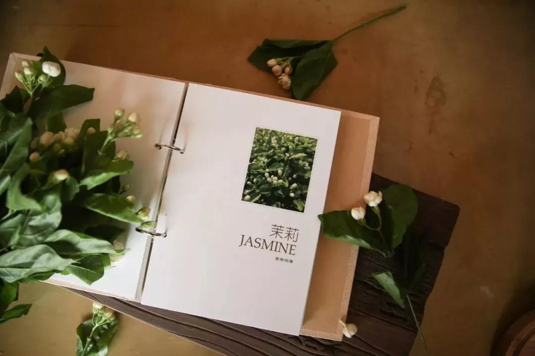 神仙水的替代护肤品,松赞和安缦