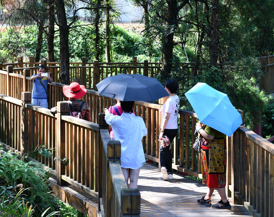 国庆七天乐！揽金超9亿，渝北文旅市场实现“双增长”