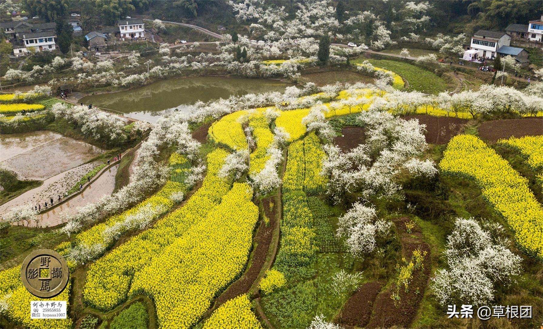 原广安县代市区有几个公社,广安消失的街道